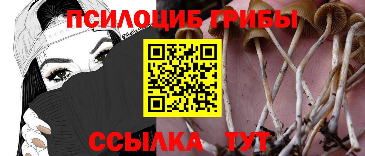 Псилоцибиновые грибы Magic Shrooms  купить  сайты  Кольчугино  Вход с VPN 