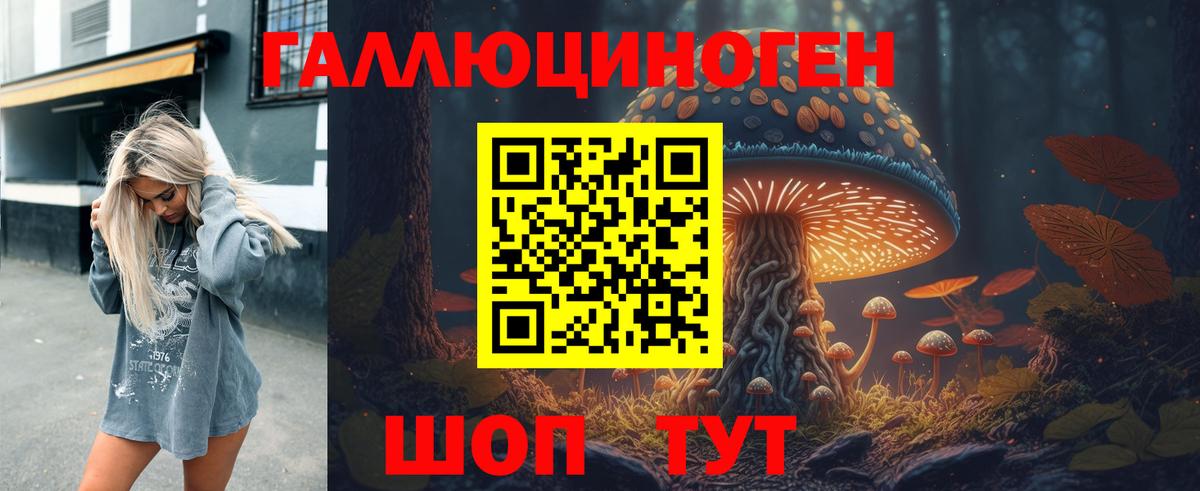 Псилоцибиновые грибы мухоморы Кольчугино